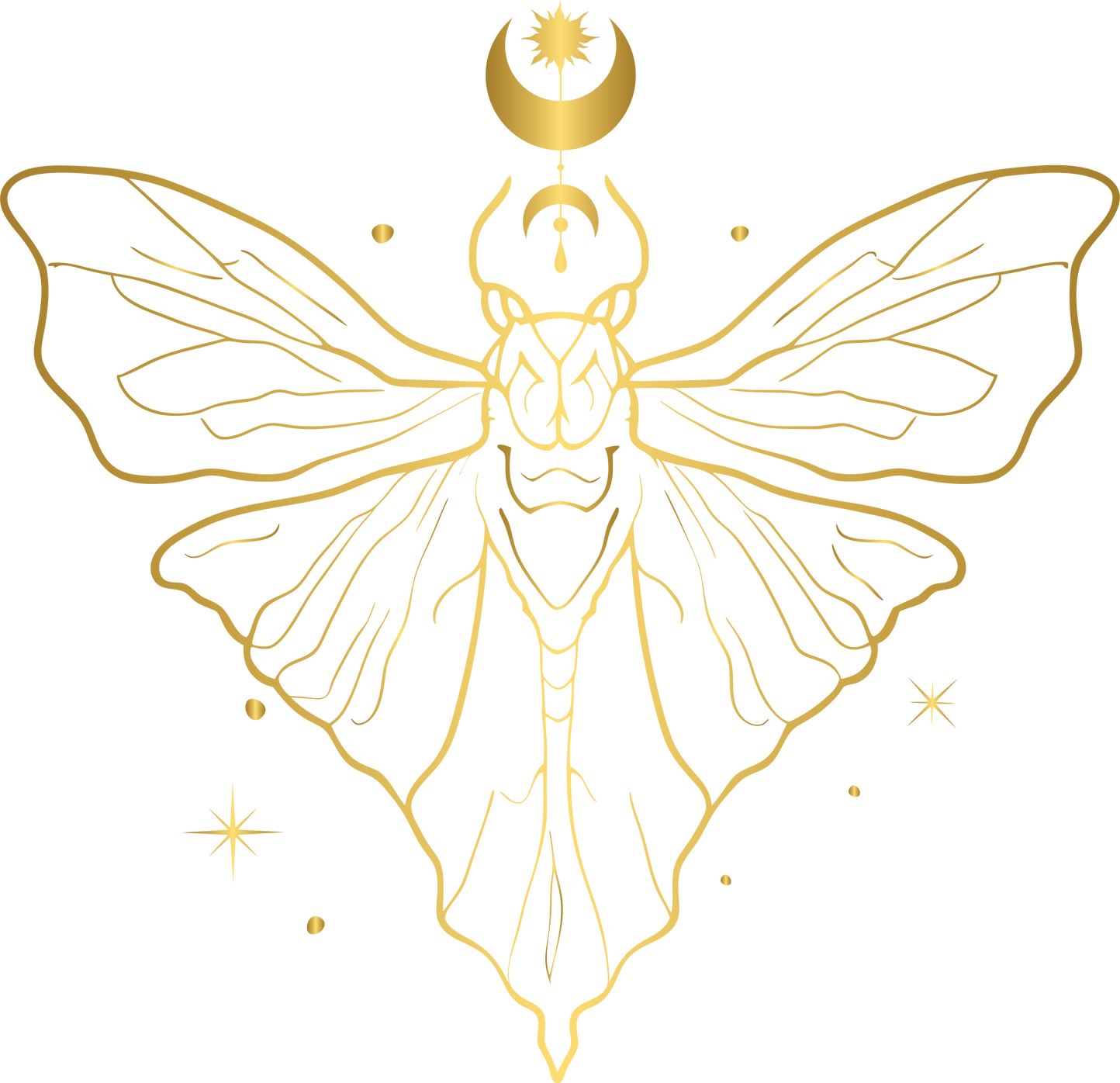 Hand drawn mystical wild moth and celestial wild moth